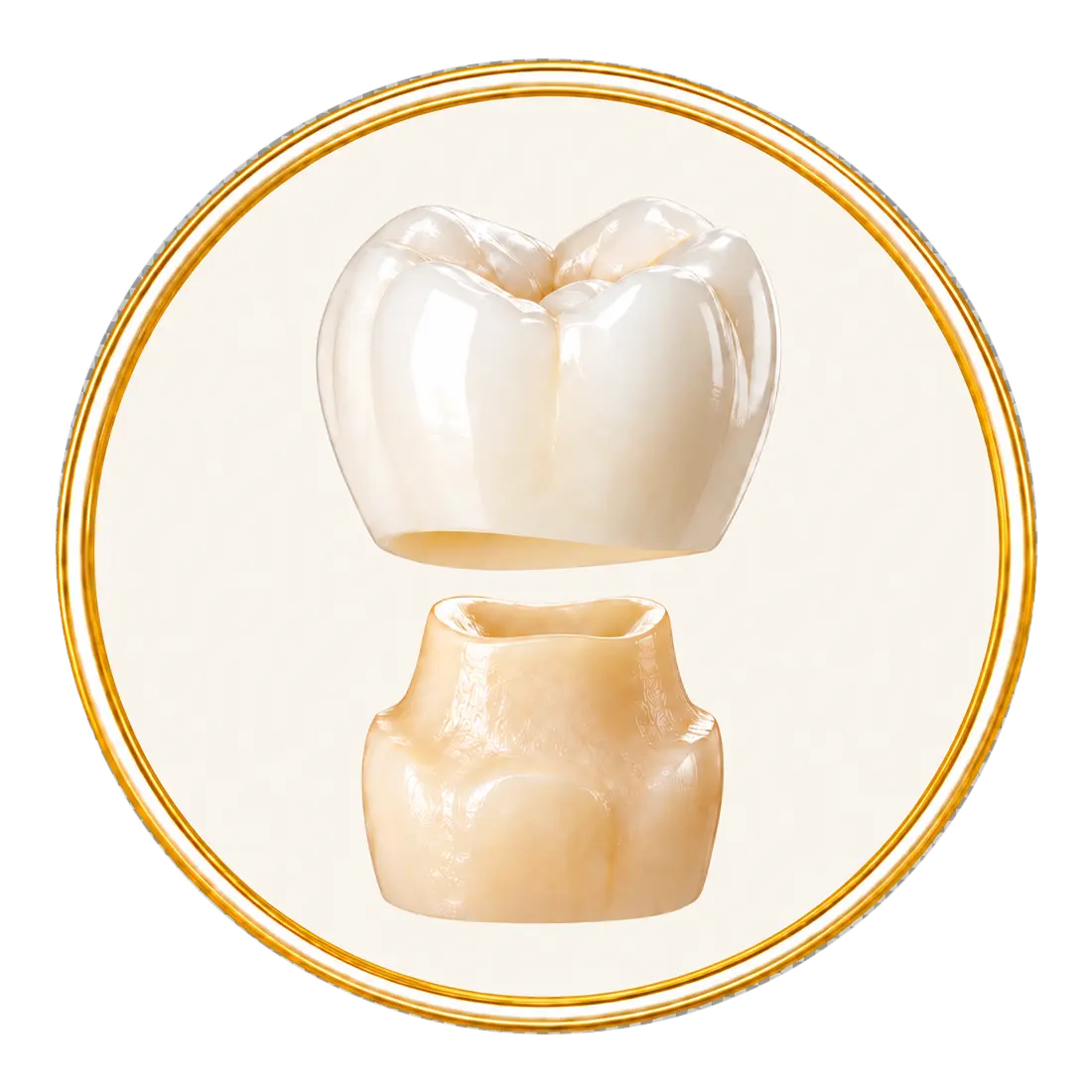 petradent zirconia crown circle transparent